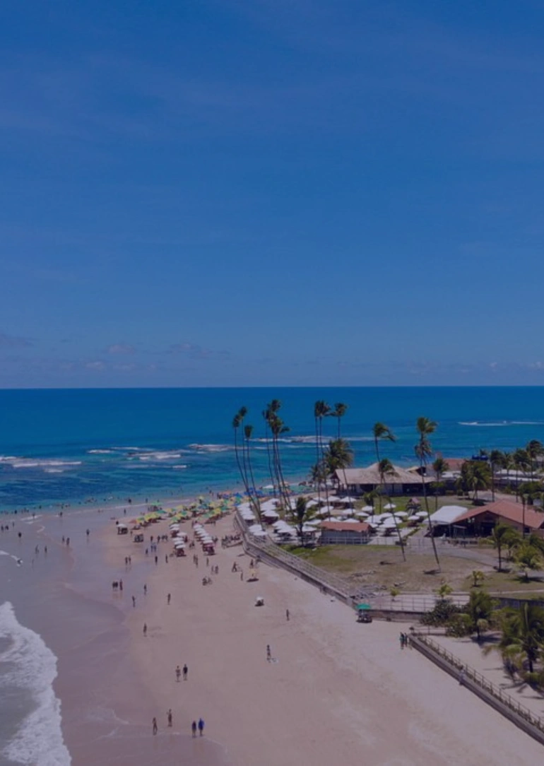 Transfers e Passeios pelos parasos de Recife, Macei e Joo Pessoa - 